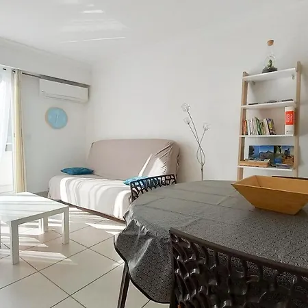 Marine Les Pins Apartment Antibes